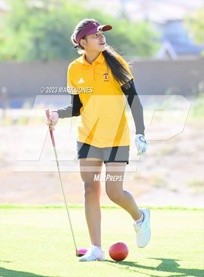 Thumbnail 3 in AIA DI Girls State Championships  photogallery.