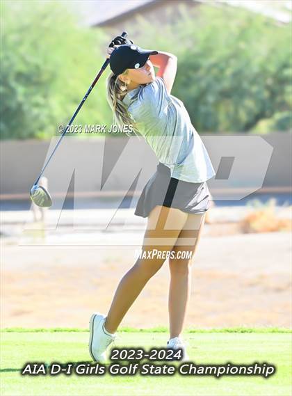 Thumbnail 1 in AIA DI Girls State Championships  photogallery.