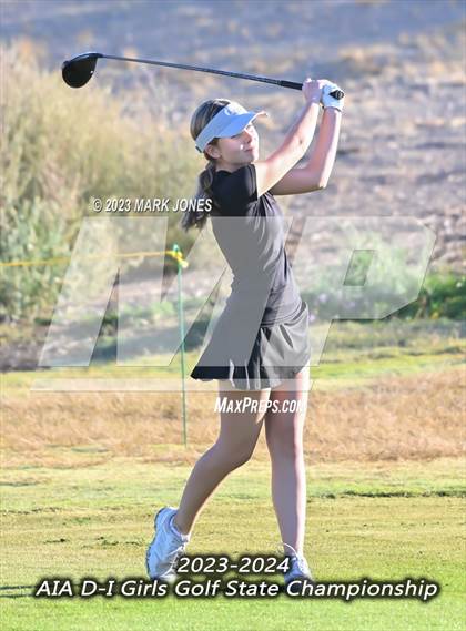Thumbnail 3 in AIA DI Girls State Championships  photogallery.