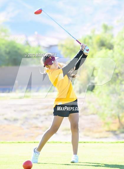 Thumbnail 2 in AIA DI Girls State Championships  photogallery.