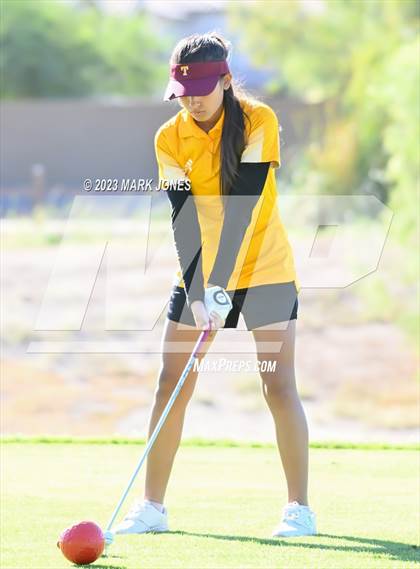 Thumbnail 2 in AIA DI Girls State Championships  photogallery.