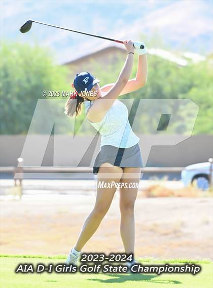 Thumbnail 2 in AIA DI Girls State Championships  photogallery.