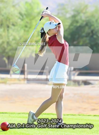 Thumbnail 2 in AIA DI Girls State Championships  photogallery.