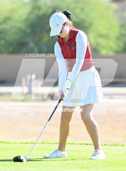 Thumbnail 2 in AIA DI Girls State Championships  photogallery.
