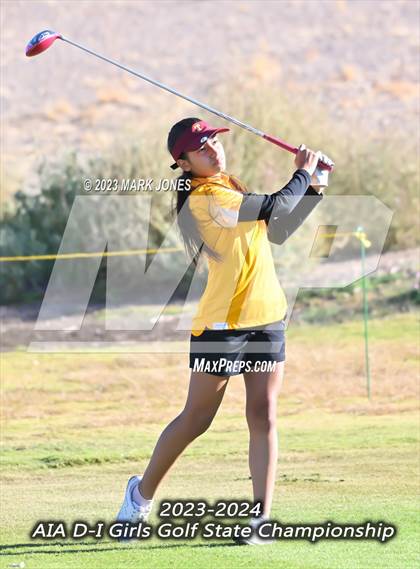 Thumbnail 3 in AIA DI Girls State Championships  photogallery.