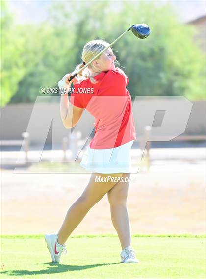 Thumbnail 2 in AIA DI Girls State Championships  photogallery.