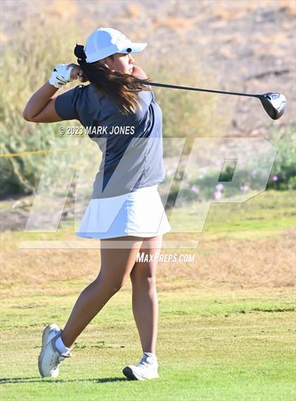 Thumbnail 1 in AIA DI Girls State Championships  photogallery.