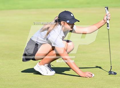 Thumbnail 3 in AIA DI Girls State Championships  photogallery.
