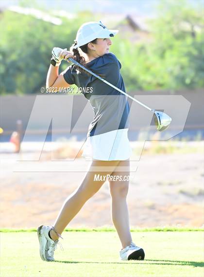 Thumbnail 2 in AIA DI Girls State Championships  photogallery.