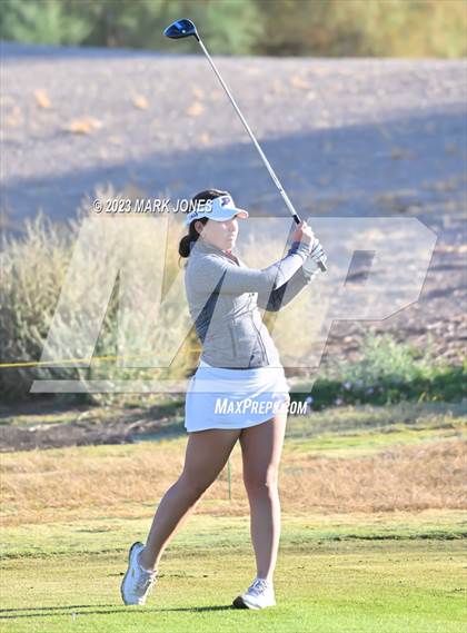 Thumbnail 1 in AIA DI Girls State Championships  photogallery.