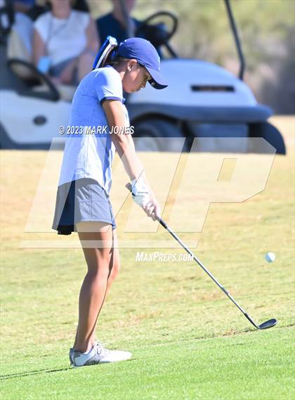 Thumbnail 1 in AIA DI Girls State Championships  photogallery.