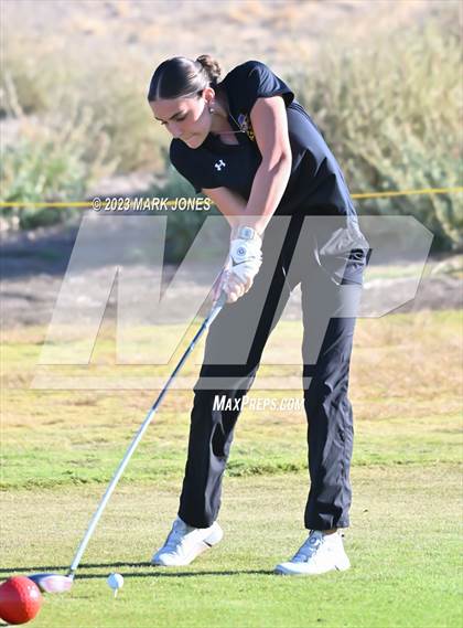 Thumbnail 3 in AIA DI Girls State Championships  photogallery.