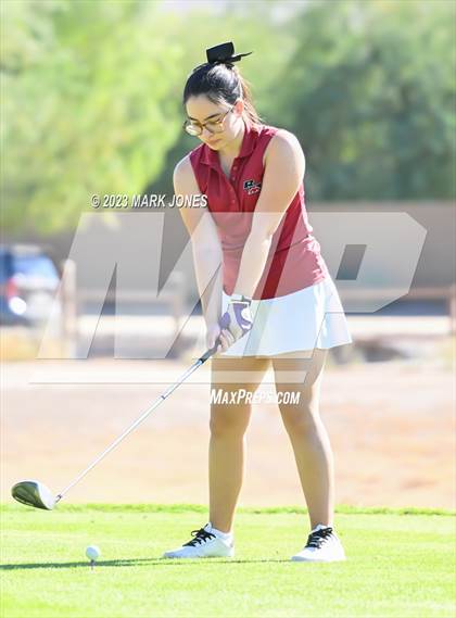 Thumbnail 1 in AIA DI Girls State Championships  photogallery.