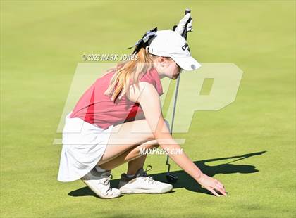 Thumbnail 2 in AIA DI Girls State Championships  photogallery.