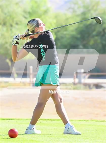 Thumbnail 3 in AIA DI Girls State Championships  photogallery.