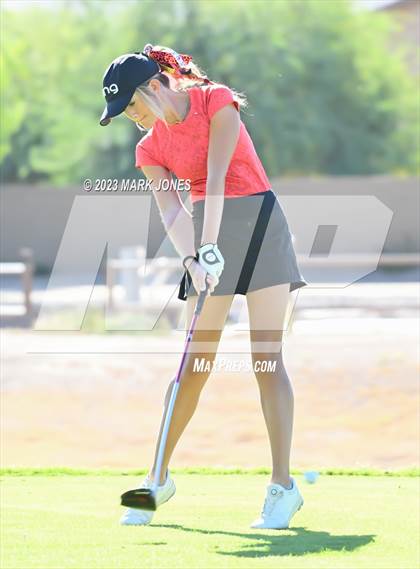 Thumbnail 2 in AIA DI Girls State Championships  photogallery.