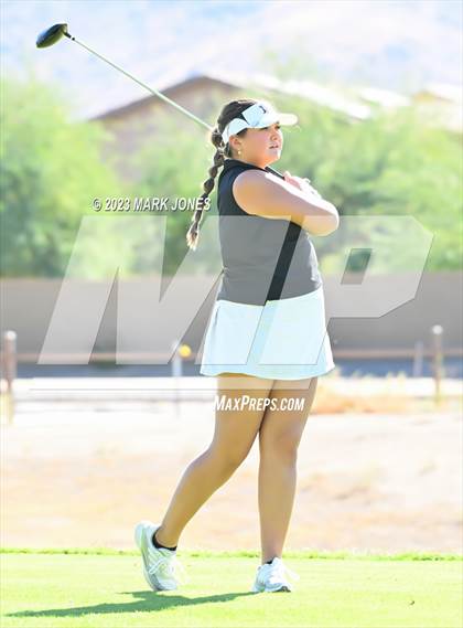 Thumbnail 1 in AIA DI Girls State Championships  photogallery.