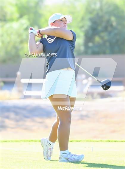 Thumbnail 1 in AIA DI Girls State Championships  photogallery.