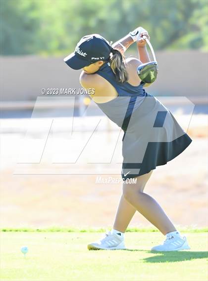 Thumbnail 1 in AIA DI Girls State Championships  photogallery.