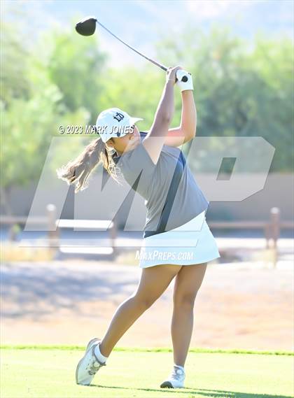 Thumbnail 1 in AIA DI Girls State Championships  photogallery.