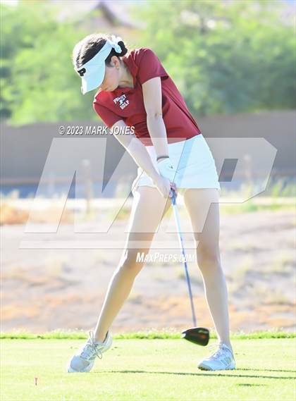 Thumbnail 3 in AIA DI Girls State Championships  photogallery.