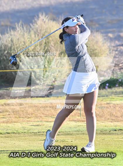 Thumbnail 3 in AIA DI Girls State Championships  photogallery.