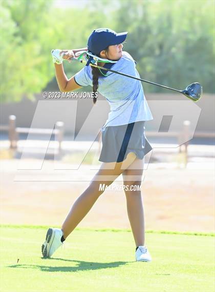 Thumbnail 2 in AIA DI Girls State Championships  photogallery.