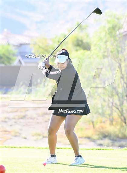 Thumbnail 1 in AIA DI Girls State Championships  photogallery.