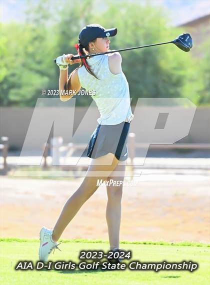 Thumbnail 2 in AIA DI Girls State Championships  photogallery.