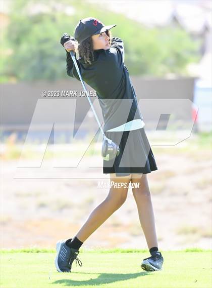 Thumbnail 1 in AIA DI Girls State Championships  photogallery.