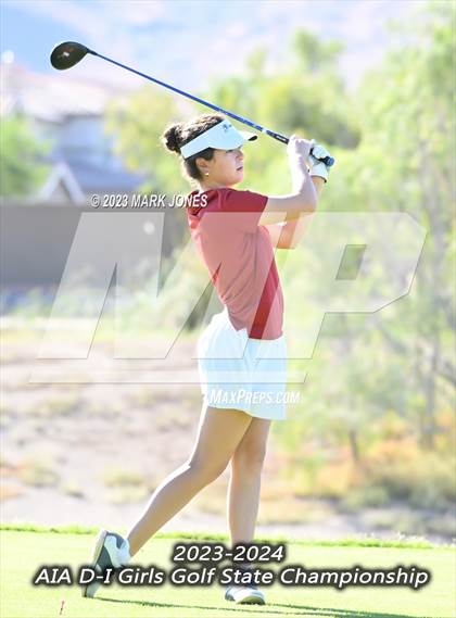 Thumbnail 2 in AIA DI Girls State Championships  photogallery.