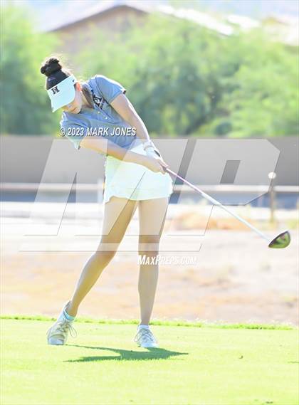 Thumbnail 1 in AIA DI Girls State Championships  photogallery.
