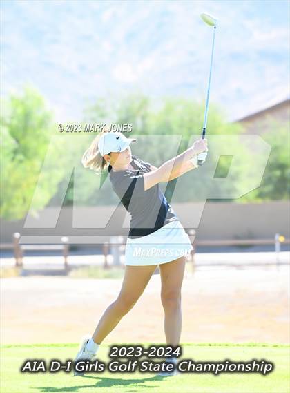 Thumbnail 3 in AIA DI Girls State Championships  photogallery.
