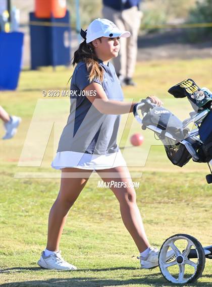 Thumbnail 1 in AIA DI Girls State Championships  photogallery.