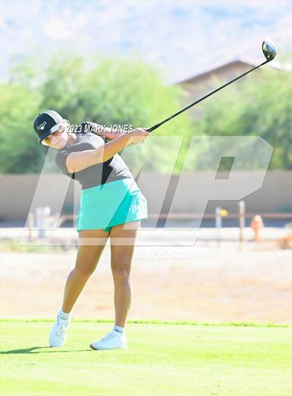 Thumbnail 3 in AIA DI Girls State Championships  photogallery.