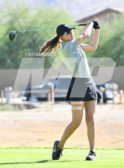 Thumbnail 1 in AIA DI Girls State Championships  photogallery.