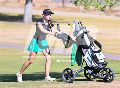 Thumbnail 3 in AIA DI Girls State Championships  photogallery.