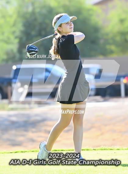 Thumbnail 1 in AIA DI Girls State Championships  photogallery.