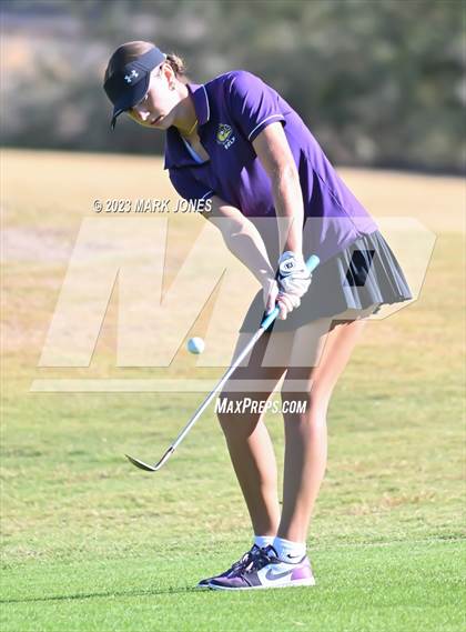 Thumbnail 1 in AIA DI Girls State Championships  photogallery.