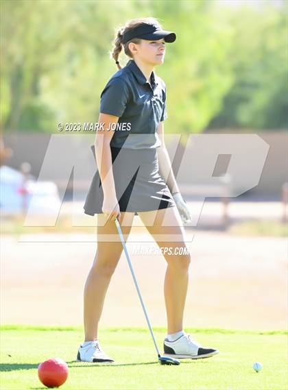 Thumbnail 1 in AIA DI Girls State Championships  photogallery.