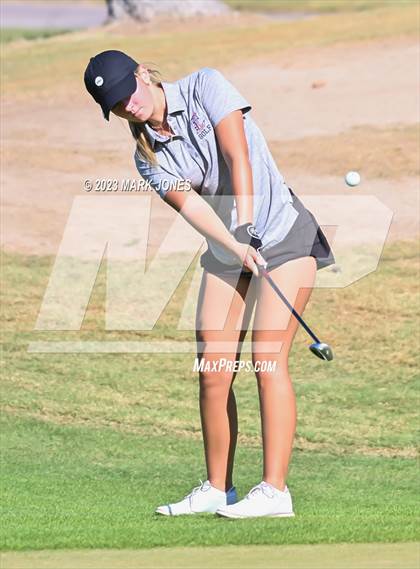 Thumbnail 2 in AIA DI Girls State Championships  photogallery.