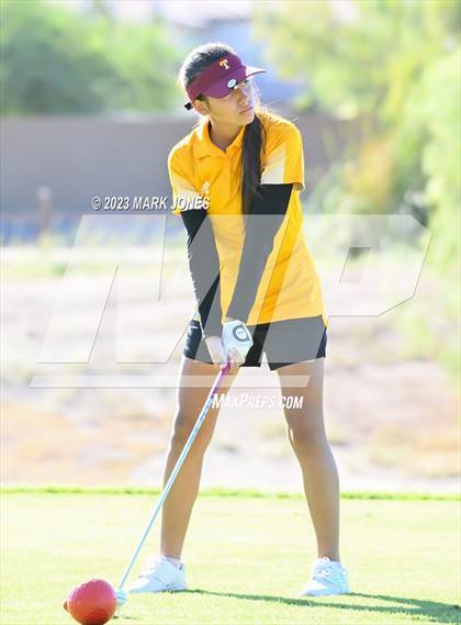Thumbnail 1 in AIA DI Girls State Championships  photogallery.