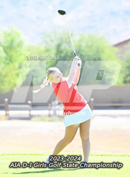 Thumbnail 1 in AIA DI Girls State Championships  photogallery.