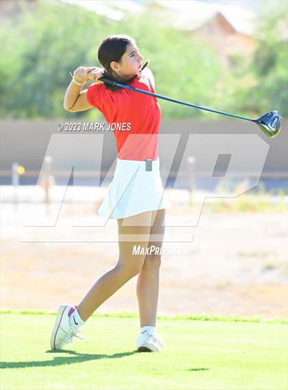 Thumbnail 1 in AIA DI Girls State Championships  photogallery.