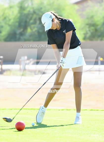 Thumbnail 2 in AIA DI Girls State Championships  photogallery.