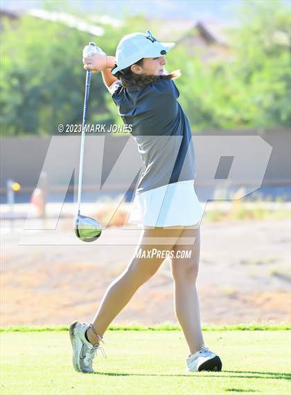 Thumbnail 1 in AIA DI Girls State Championships  photogallery.