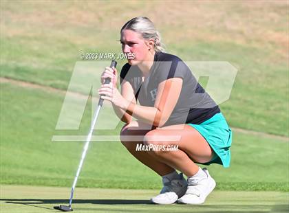 Thumbnail 2 in AIA DI Girls State Championships  photogallery.