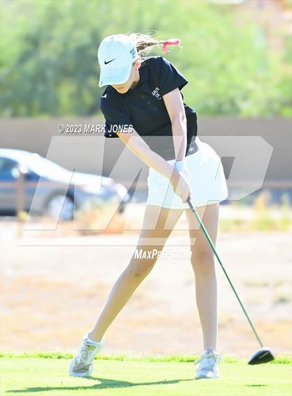 Thumbnail 3 in AIA DI Girls State Championships  photogallery.
