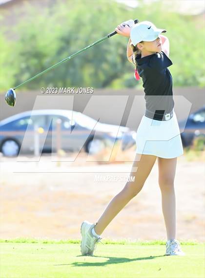 Thumbnail 2 in AIA DI Girls State Championships  photogallery.