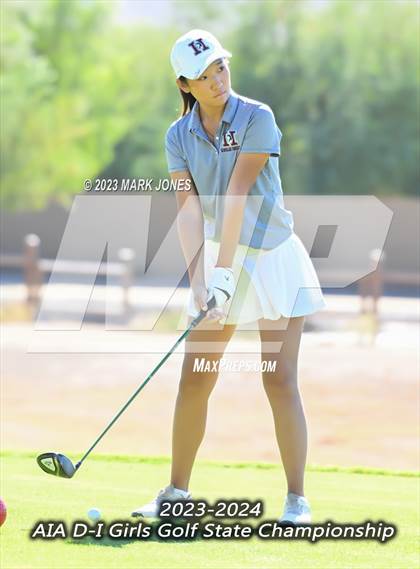 Thumbnail 2 in AIA DI Girls State Championships  photogallery.